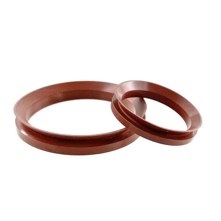 Fluorine Rubber VA Water Seal Sealing Ring